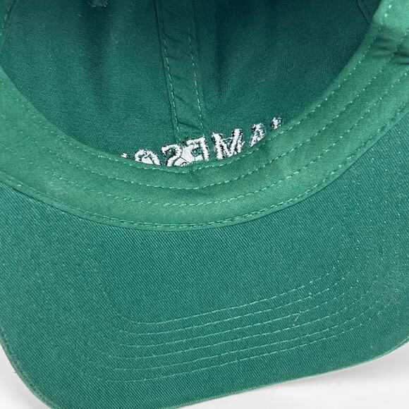 Jameson Everyday Dad Hat Baseball Cap Irish Whiskey Alcohol Strapback Green - Picture 5 of 12
